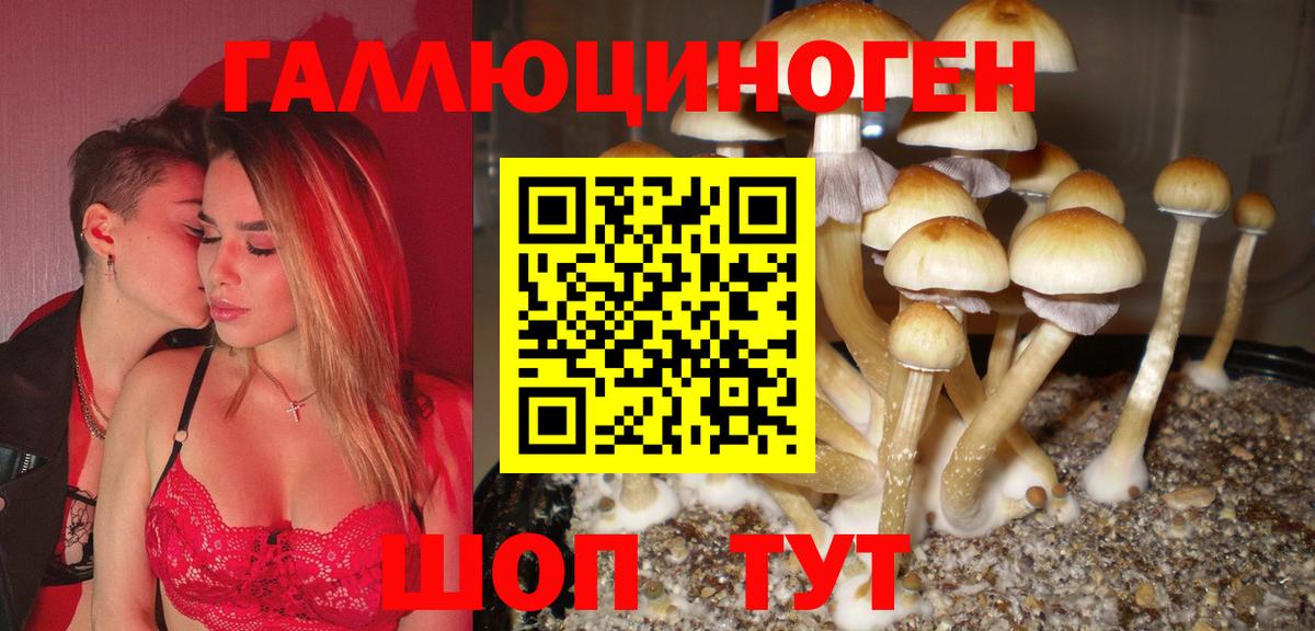 Галлюциногенные грибы Cubensis  Вход с VPN  Севастополь 